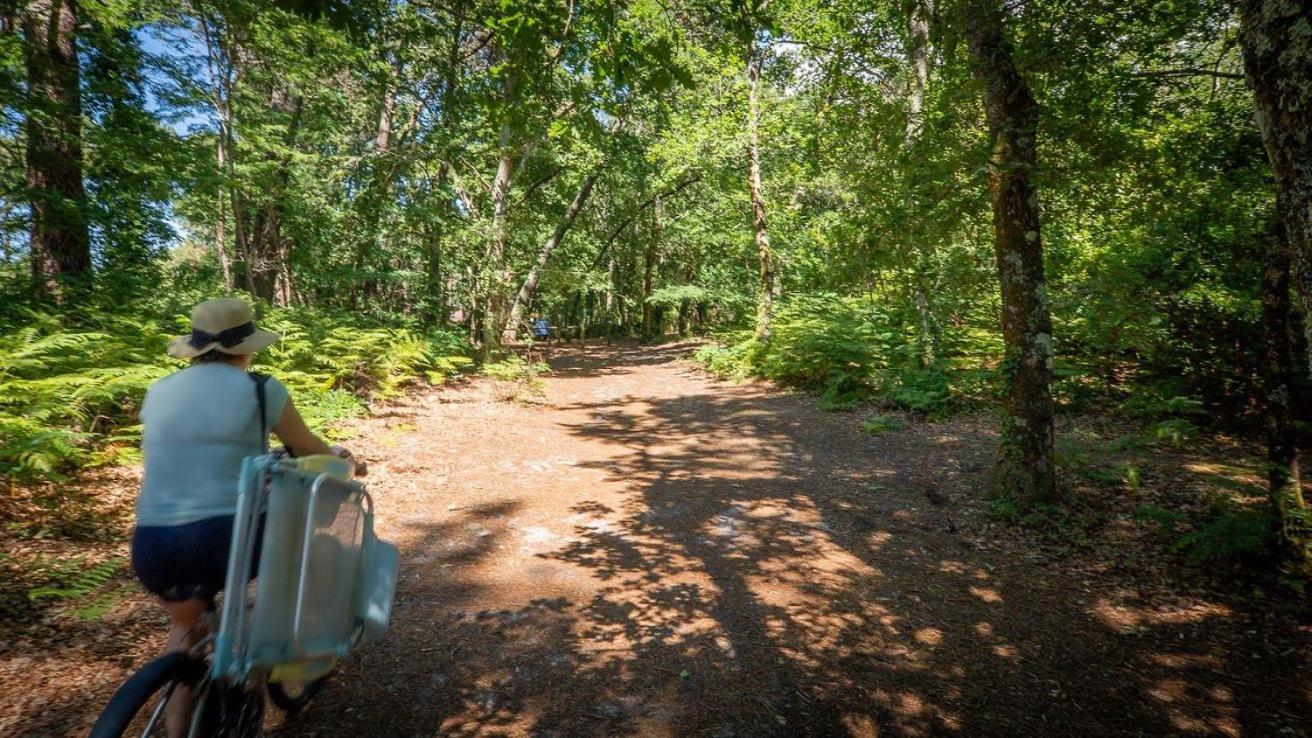 Camping 아레즈 외부 사진